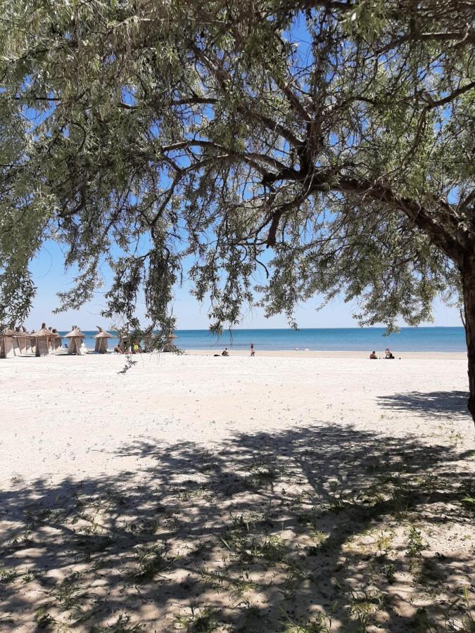 Eka Studio - Pool & Spa Beach Resort Năvodari المظهر الخارجي الصورة