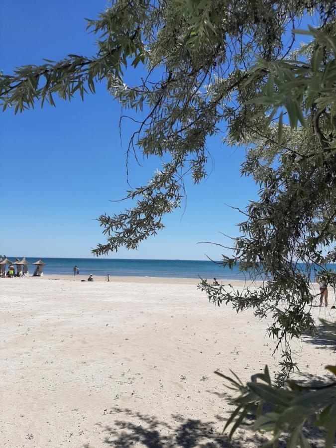 Eka Studio - Pool & Spa Beach Resort Năvodari المظهر الخارجي الصورة